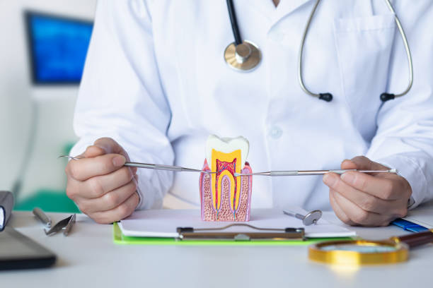 Best Chipped Tooth Repair Near Me  in Beachwood, OH